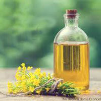 Refined Canola Oil In Lucknow
